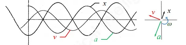 1732675088595719.jpg
